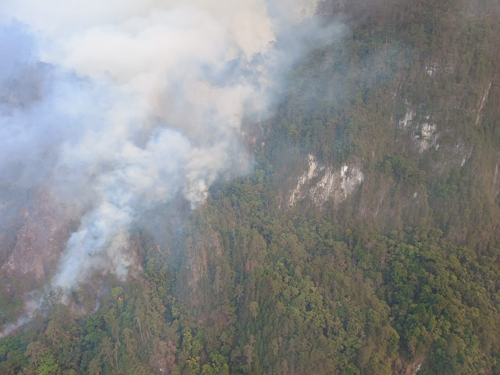 Combatirán incendio forestal en Juan Galindo con helicóptero