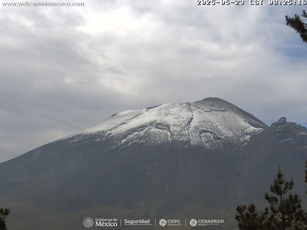 Popocatépetl sigue con actividad moderada al registrar 50 exhalaciones