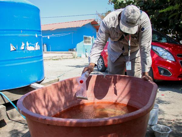 Puebla registra en un día 55 contagios de dengue