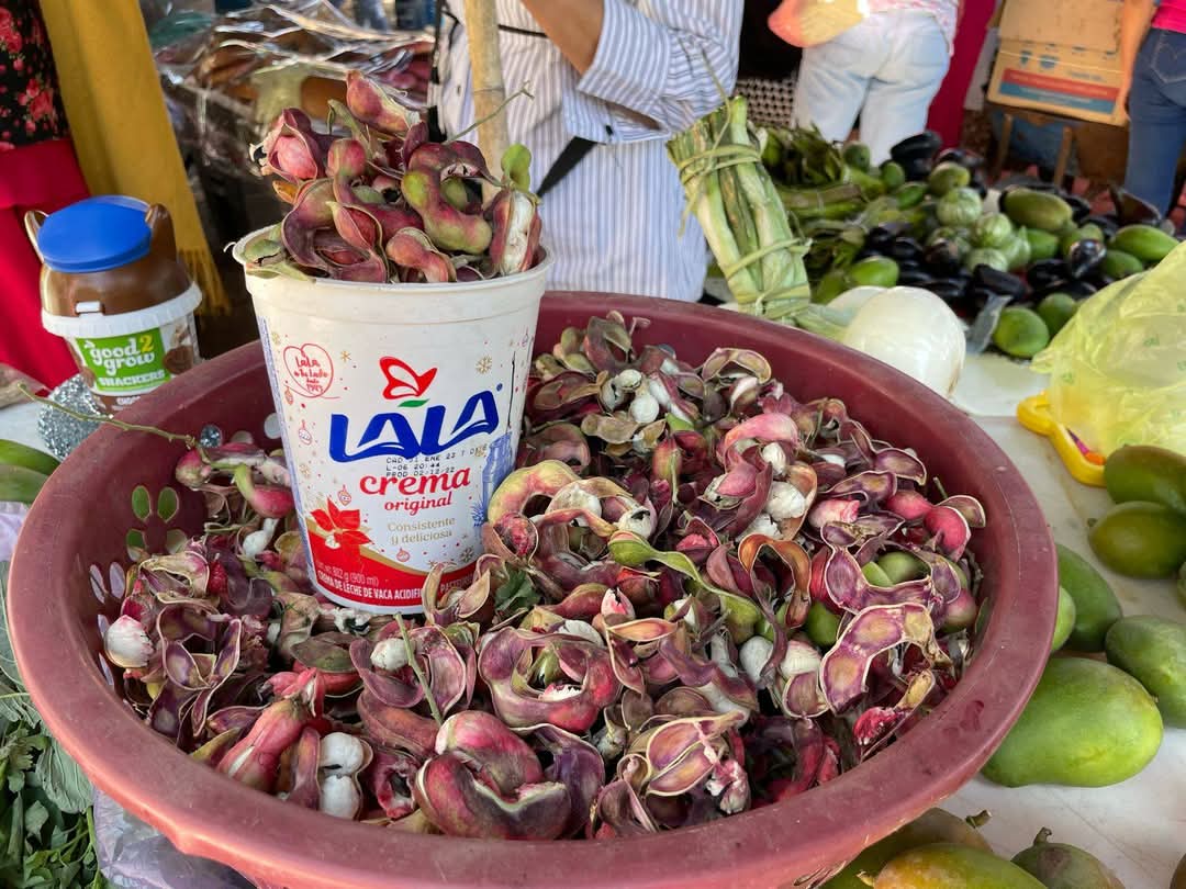 Guamúchiles abarrotan mercados de Izúcar