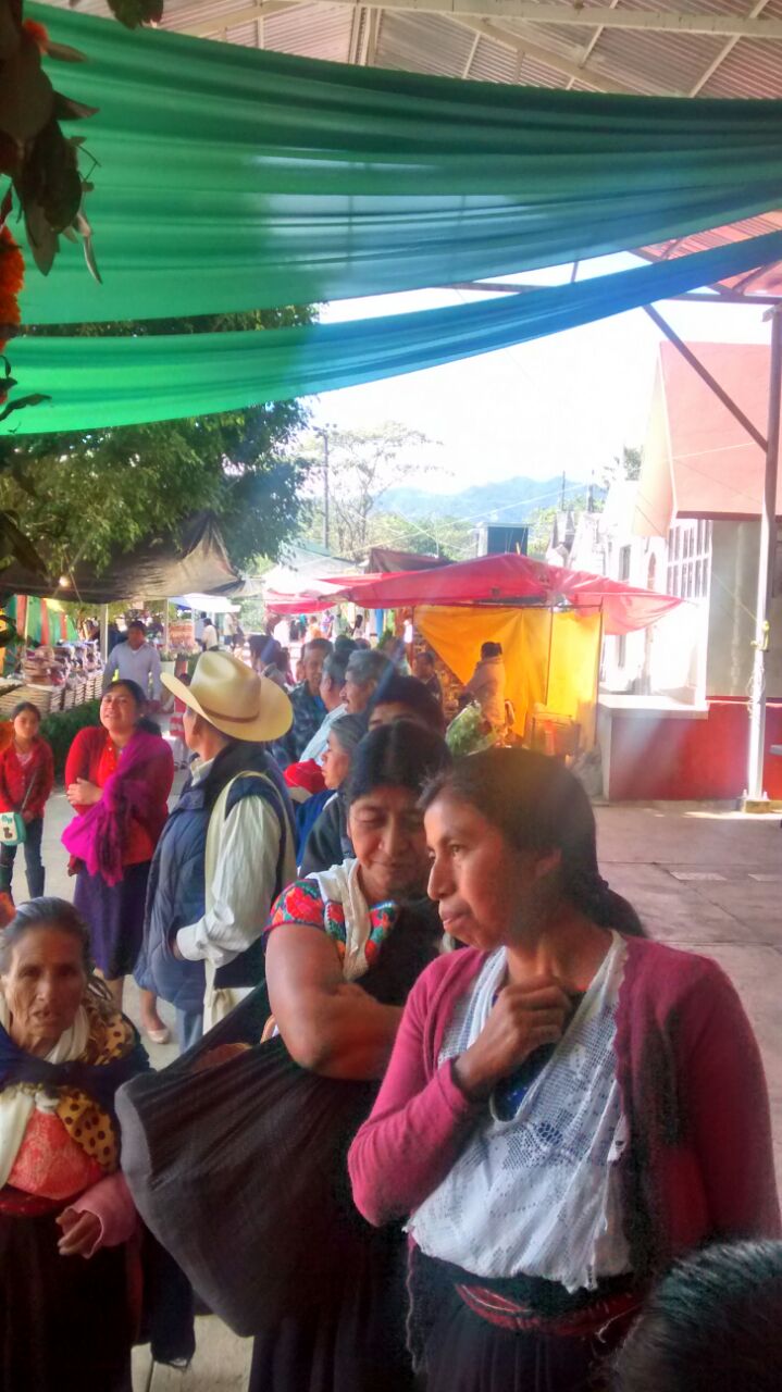 Cuautitla festeja a San Andrés, el que se convierte en maíz