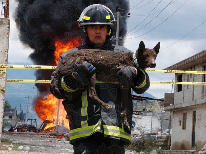 El héroe del día es un Bombero de Puebla