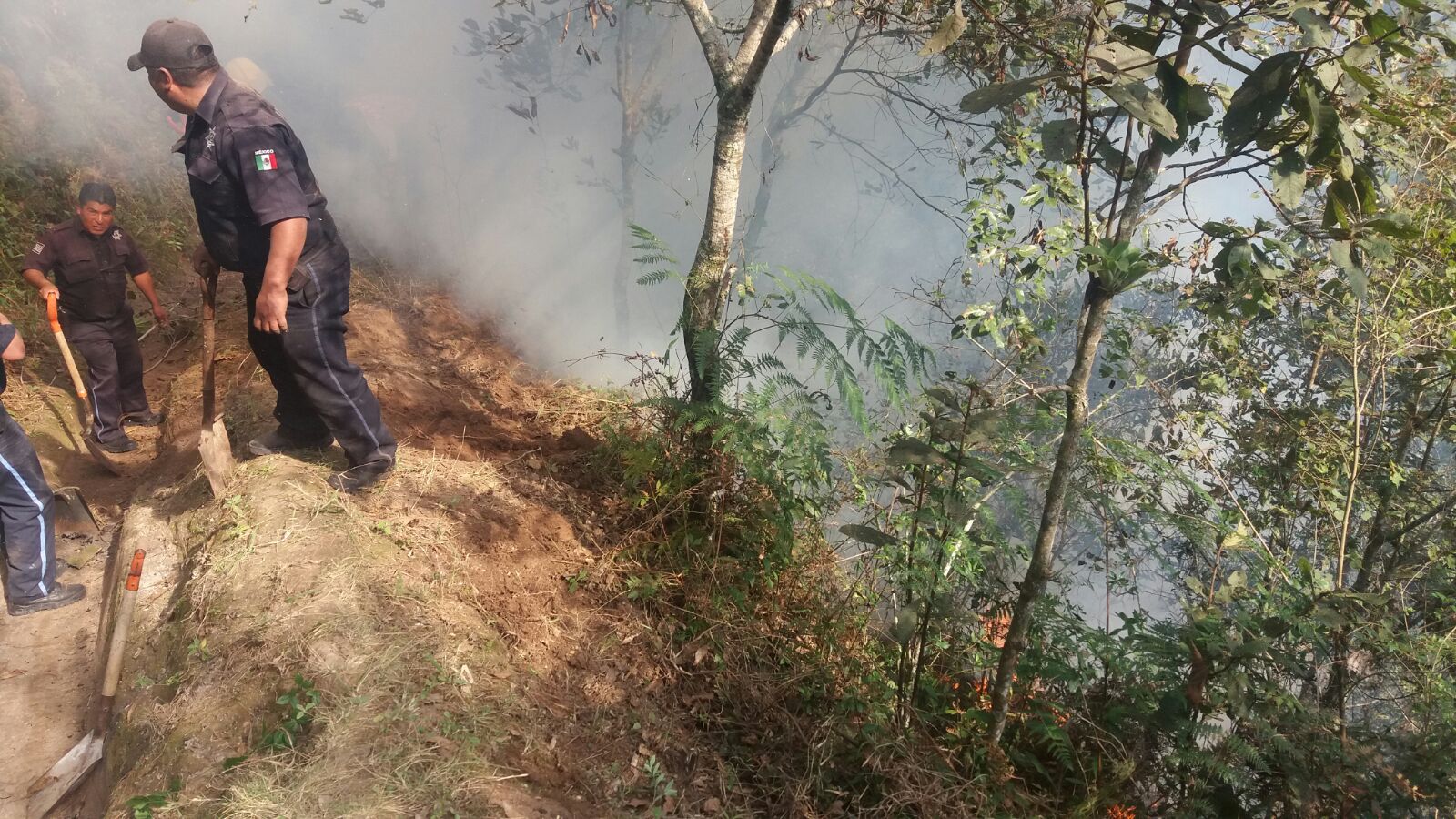 Incendio afecta 10 hectáreas de árboles y pastizales en Huauchinango