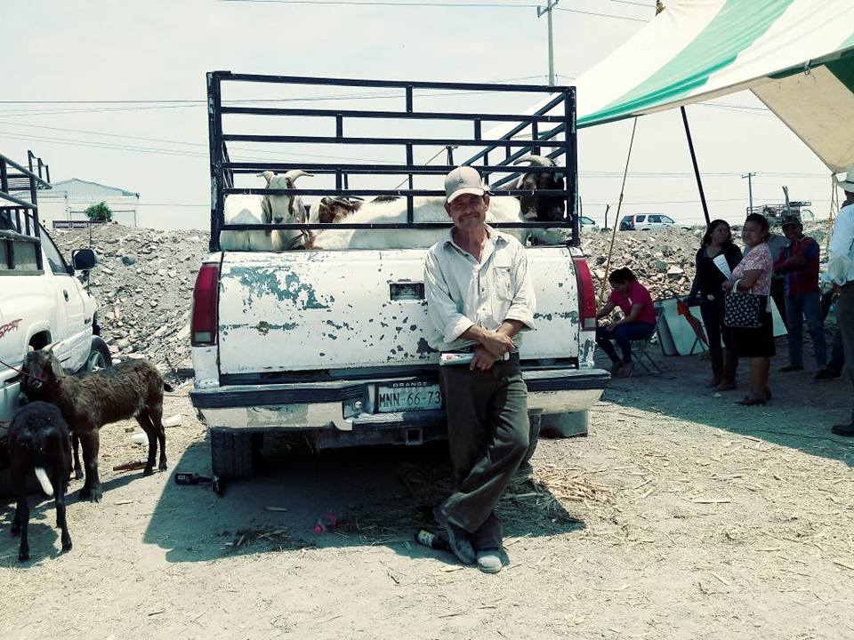 Comercializan hasta 14 mil cabezas de ganado al año en plaza de Izúcar