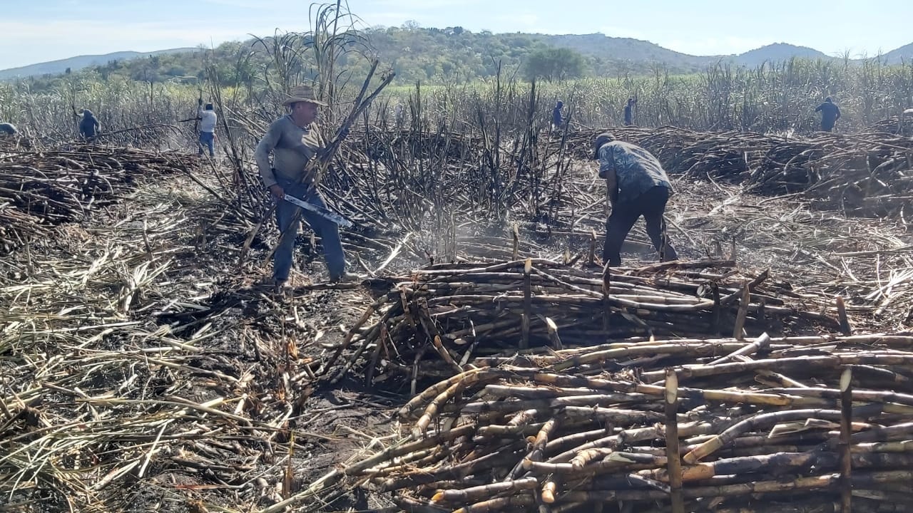 Cañeros de Chietla deben prepararse con infraestructura ante la falta de agua   