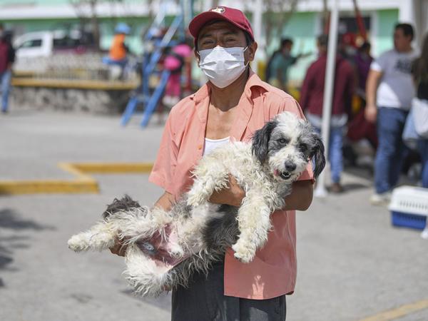 Inicia Jornada Estatal Intensiva de Vacunación Antirrábica en Puebla