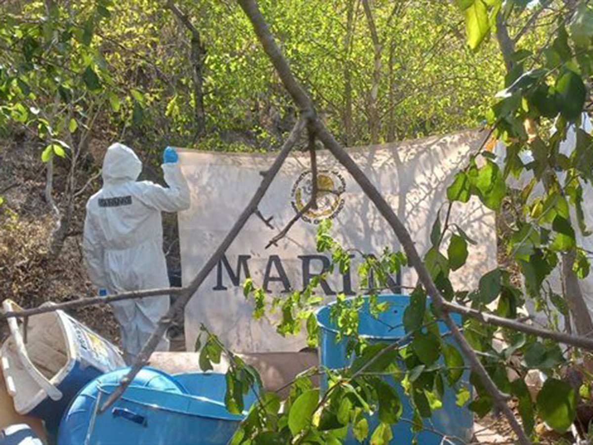 Neutraliza Marina laboratorio clandestino en Sinaloa