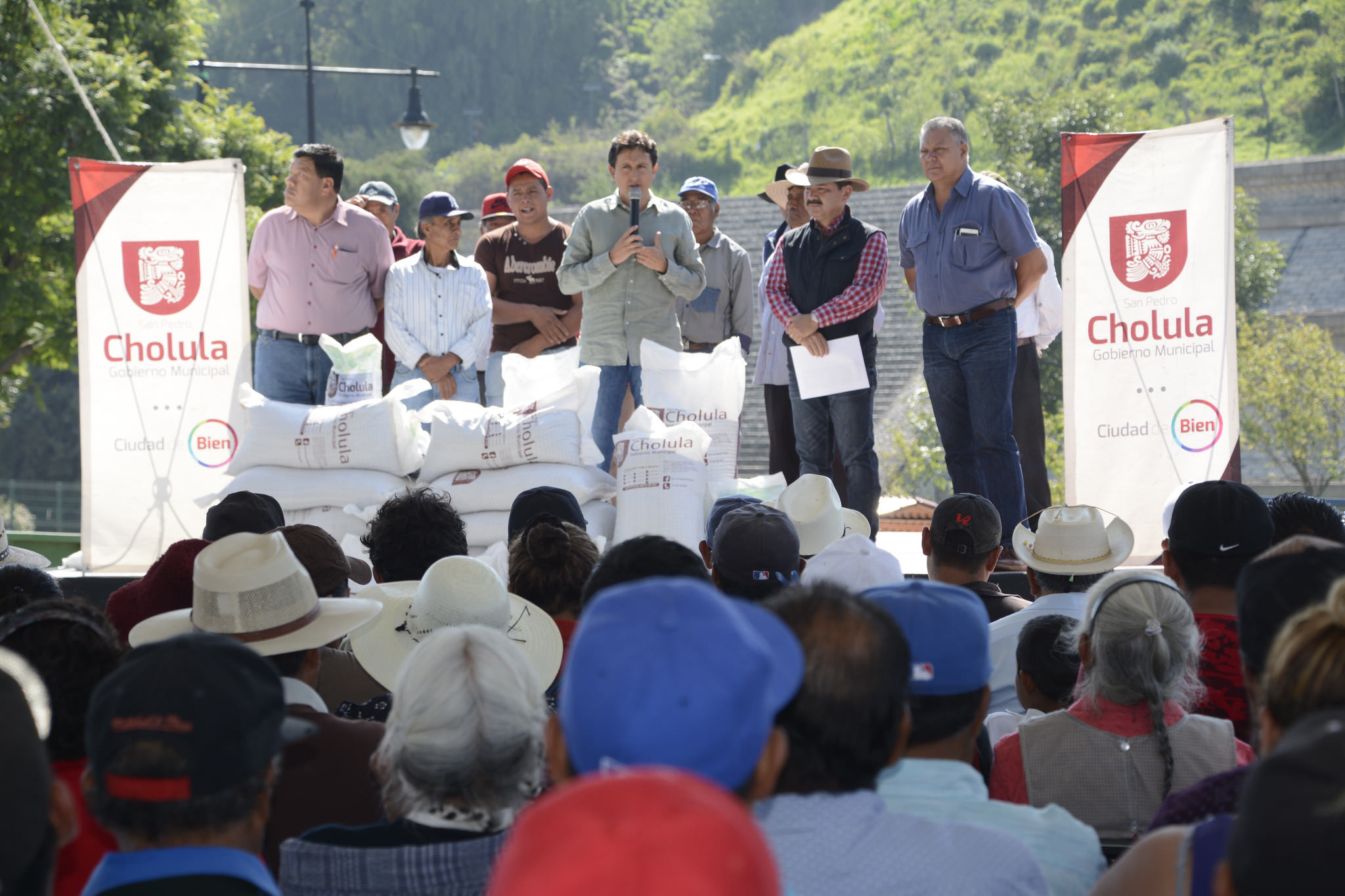 Apoya San Pedro Cholula con fertilizante a 370 productores