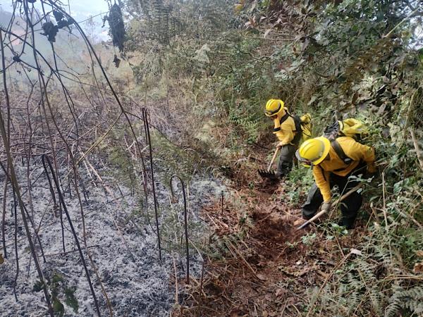 Se registran incendios forestales en Tepatlaxco de Hidalgo y Huauchinango