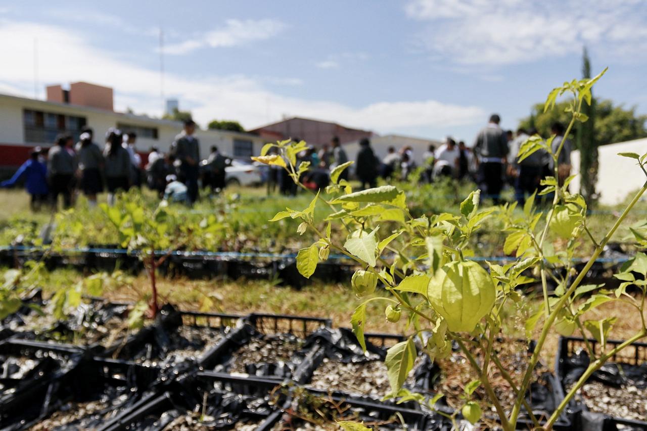 Ayuntamiento invertía 2 mdp en huertos escolares y techados verdes en Puebla