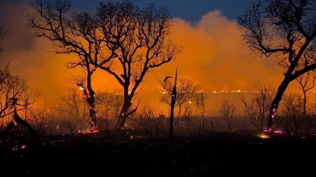 Incendio en Chila de las Flores consume 200 hectáreas y llega hasta Oaxaca