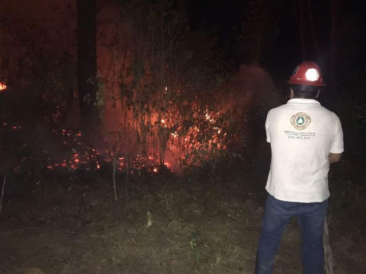 Se registra nuevo incendio forestal en Zacatlán