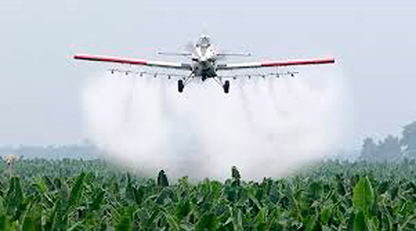 Efectos tóxicos en el cerebro de animales, por plaguicidas en la agricultura