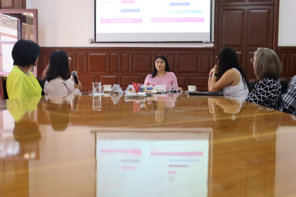 Vicaria y patrimonial, principales violencias contra mujeres atendidas en el SMDIF 