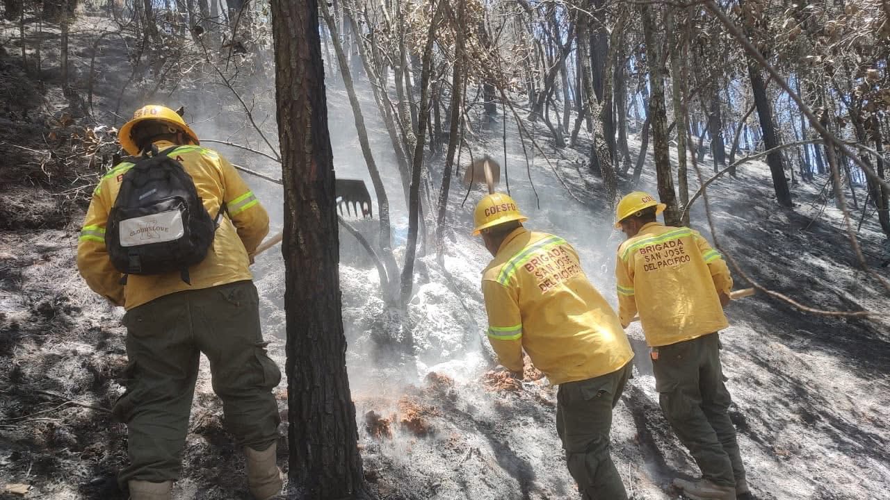 Muere padre y sus dos hijos en combate de incendio forestal en Oaxaca