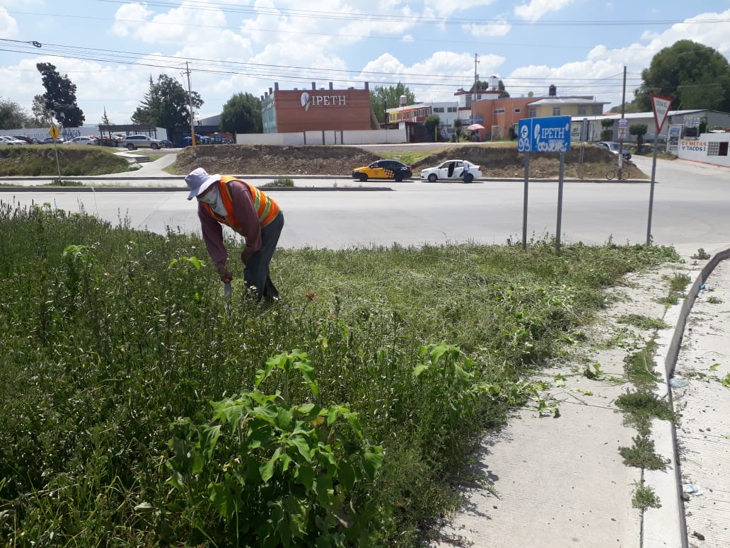 Comienzan limpieza en la zona metropolitana