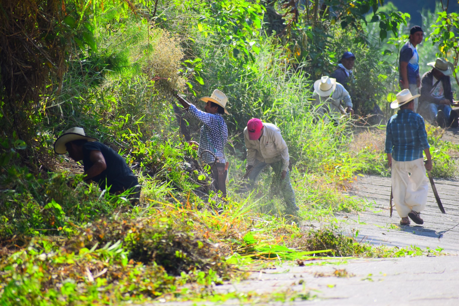 Municipio y vecinos realizan limpieza de la carretera principal de Huitzilan