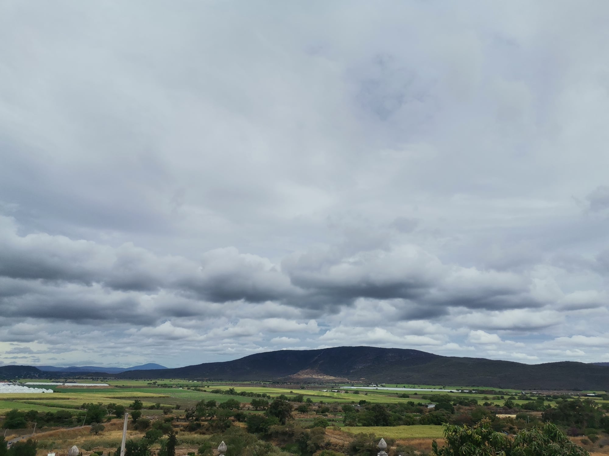 Tiemperos auguran un buen temporal para este 2025 en la zona de Izúcar