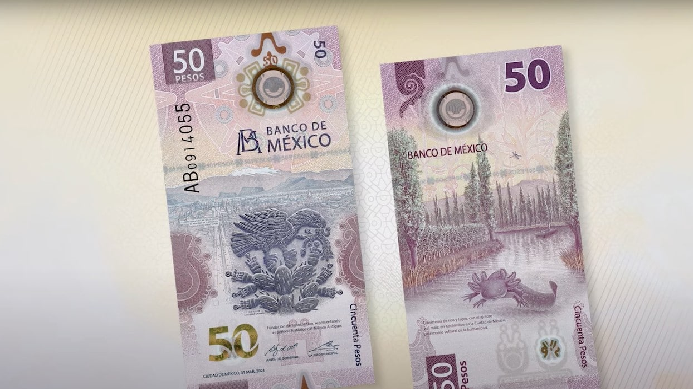 La Junta de Gobierno del Banco de México presentó el nuevo billete de 50 pesos