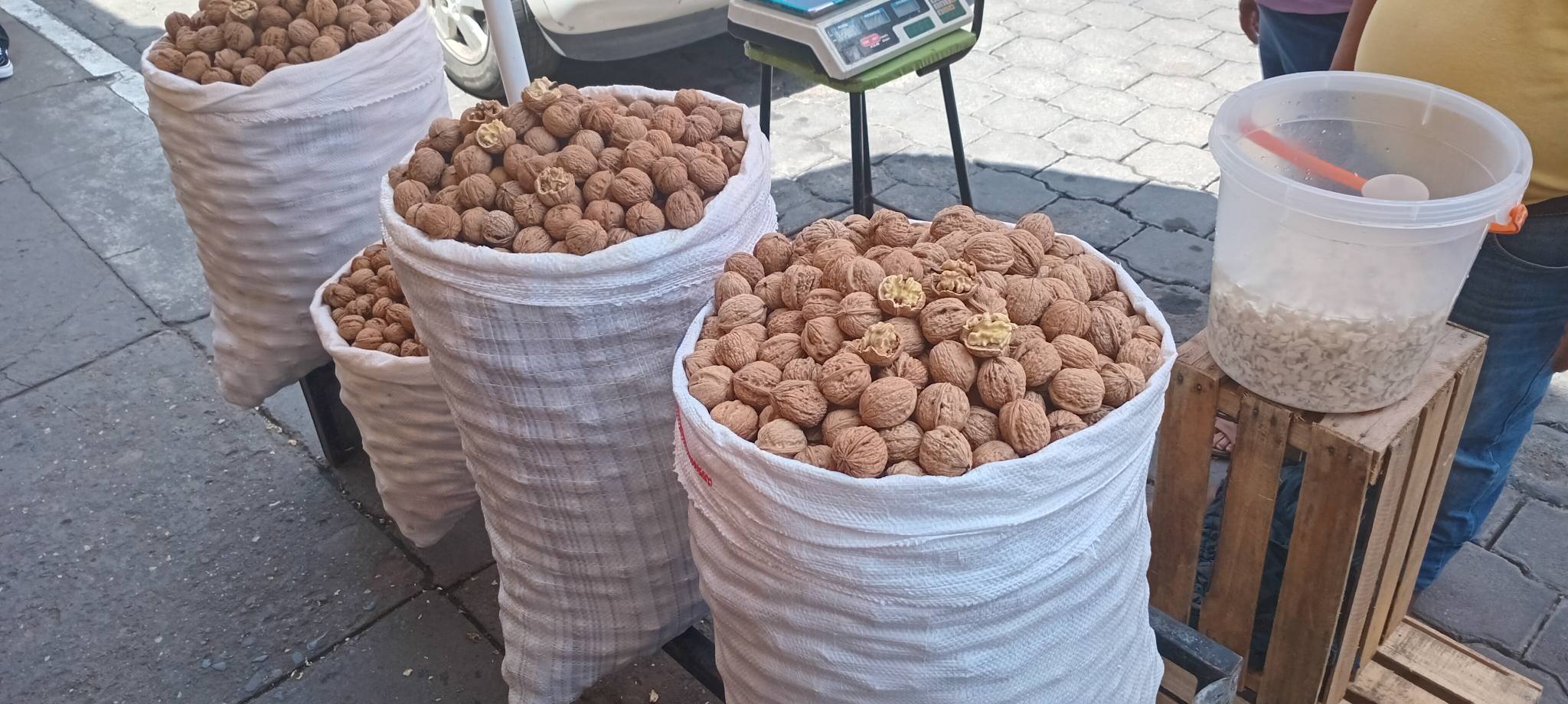 Lista en Atlixco, la nuez de castilla para los Chiles en Nogada