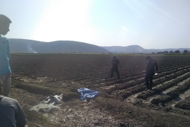 Cadáver es encontrado en terrenos de cultivo de Izúcar