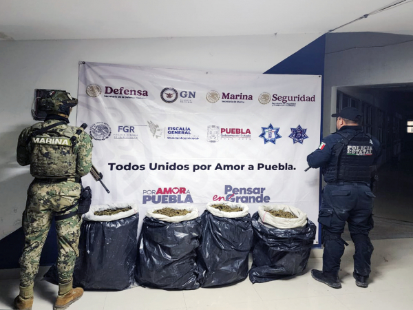 En Teotlalco y Texmelucan aseguran 37 kilos de marihuana y 42 envoltorios con cristal