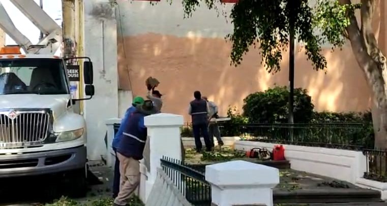 Suman 120 derribos de árboles por generar riesgos en Puebla capital
