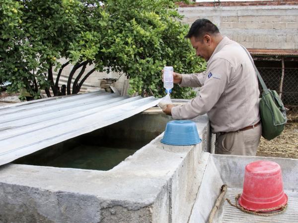 Puebla, sin nuevos casos por dengue en últimas 24 horas: Salud