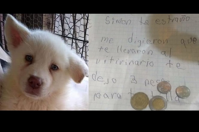 Te dejo 3 pesos para tortilla: Simón espera al niño que lo salvó