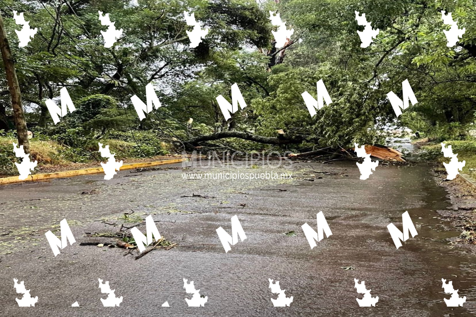 VIDEO Postes, casas inundadas, árboles y bardas caídas, saldo de la lluvia en San Martín Texmelucan