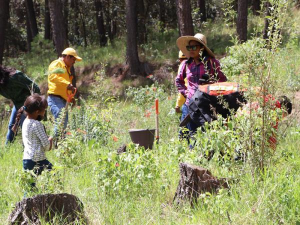 Puebla y ONU firmarán carta de intención para reducir riesgos en municipios