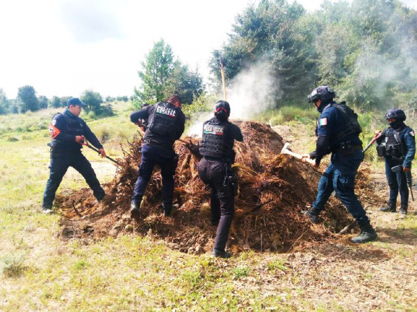 Inhabilitan 11 hornos clandestinos para deshidratar madera en Puebla capital