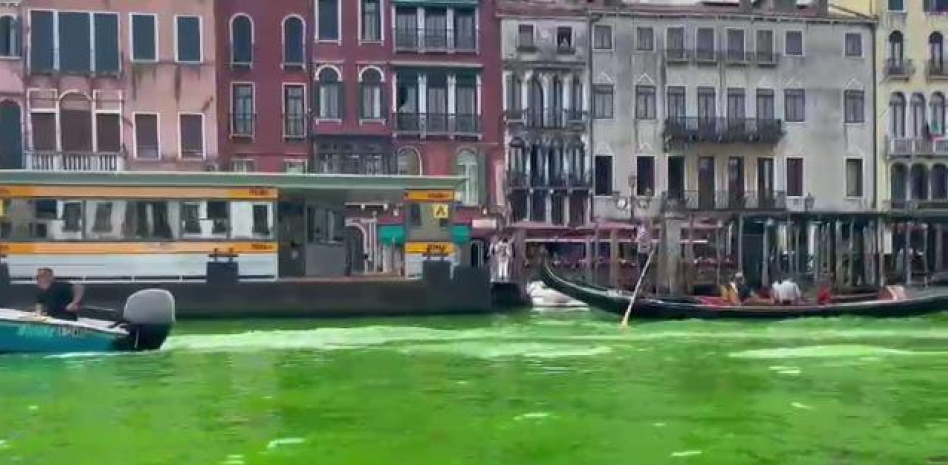 Aguas del gran canal de Venecia se tiñen de verde
