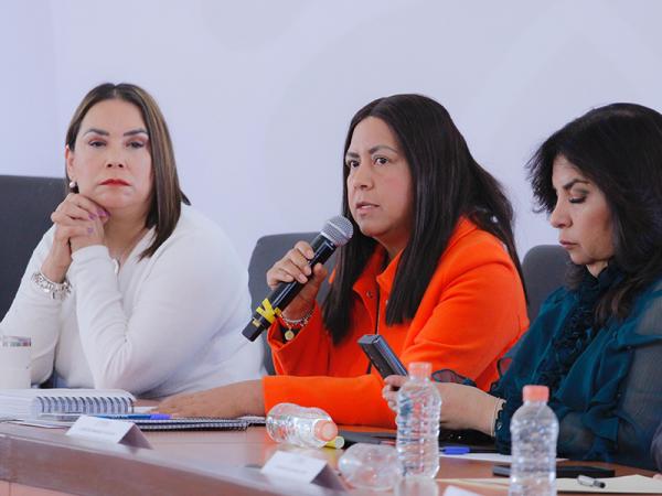 Anuncia SDR entrega de 10 programas para campesinos poblanos