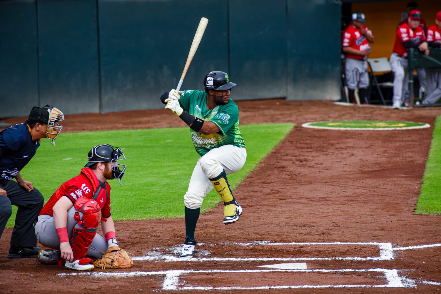Este sábado Pericos y Piratas frente a frente