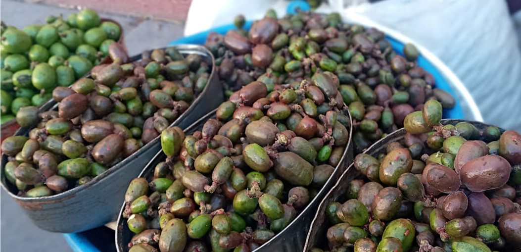 Una tradición de la Mixteca, consumo de ciruelas en cuaresma  