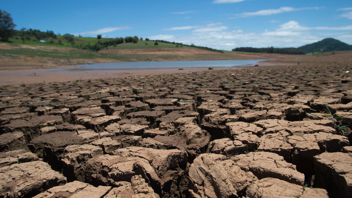 Río Bravo se seca y peligra la carpa chamizales