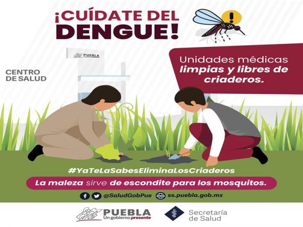 Sin casos de covid ni dengue en Puebla en las últimas 24 horas