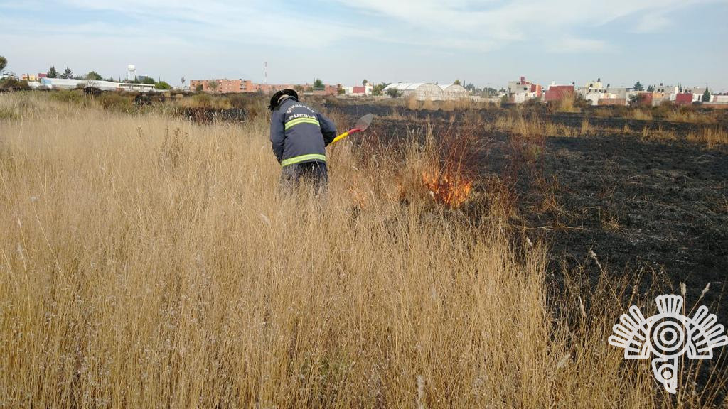De diciembre 2022 al 23 de enero Puebla registró 376 incendios de pastizales