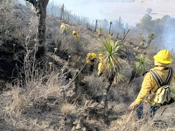 Del 3 al 6 de abril gobierno de Puebla extingue 17 incendios forestales