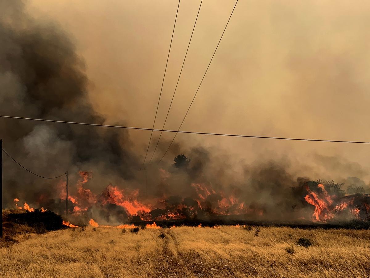 Encuentran a 18 migrantes muertos tras incendio forestal en Grecia