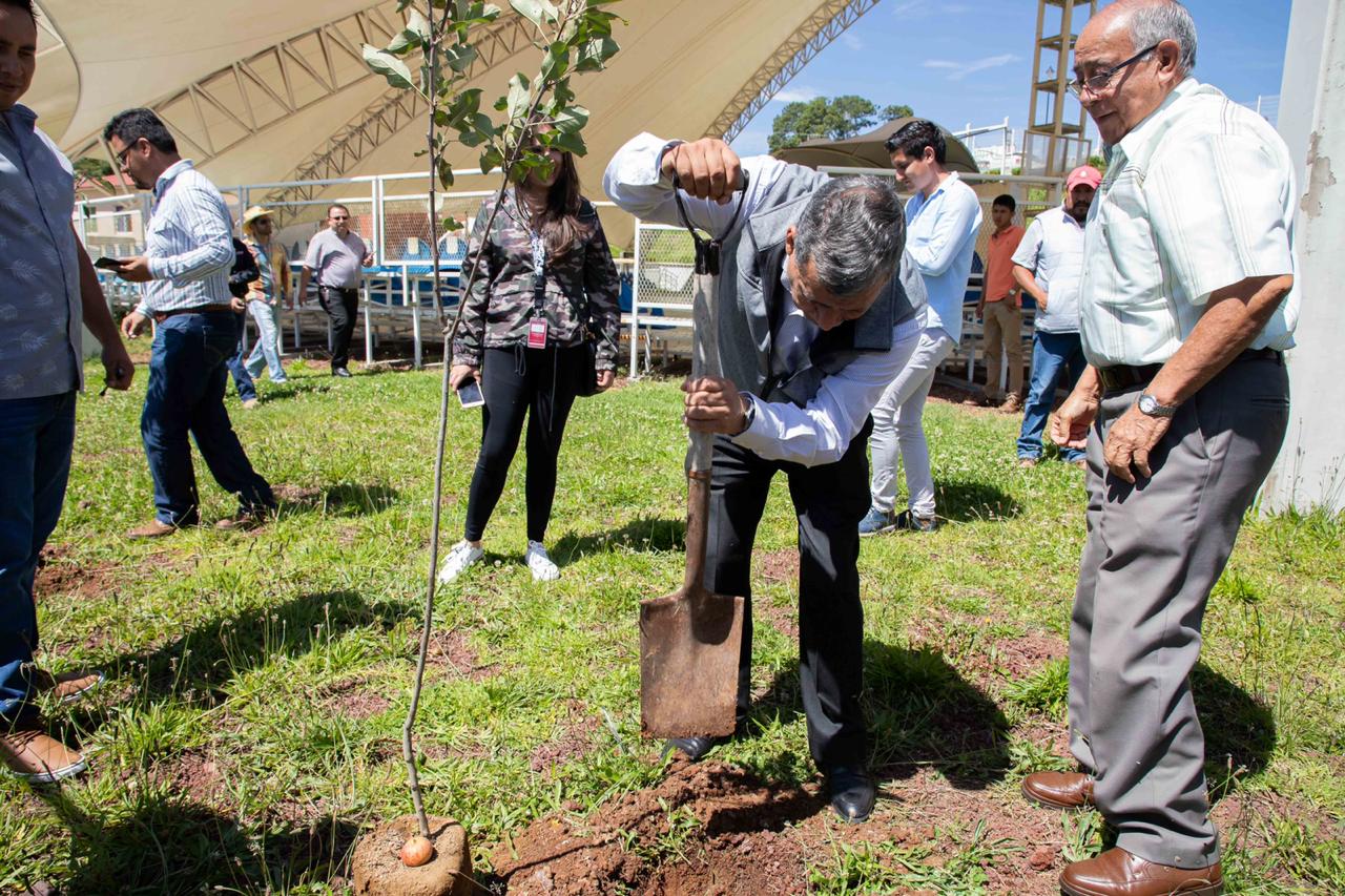 Entrega Luis Márquez 16 mil árboles de manzana para recuperar producción
