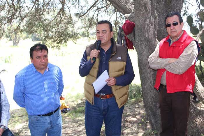 Reforestan San José Chiapa con 100 mil árboles de pino