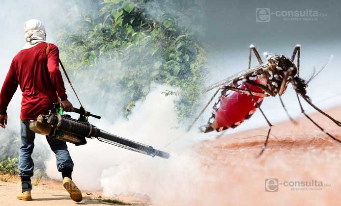 Confirman 8 casos de dengue clásico en la región de Tehuacán