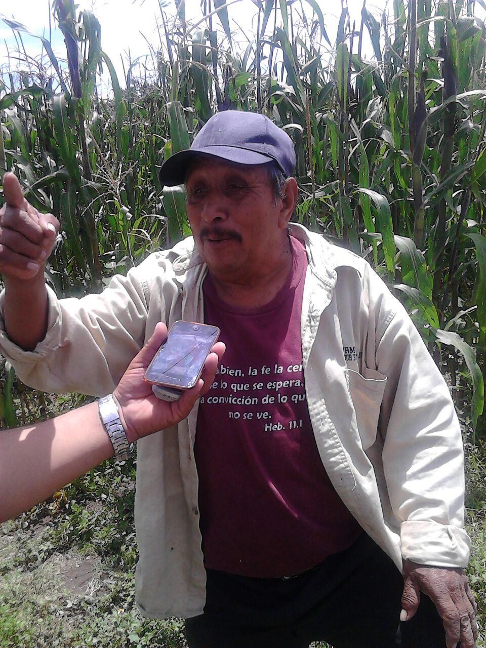 Granizada deja afectaciones a cultivos de maíz y frijol en Tlalancaleca