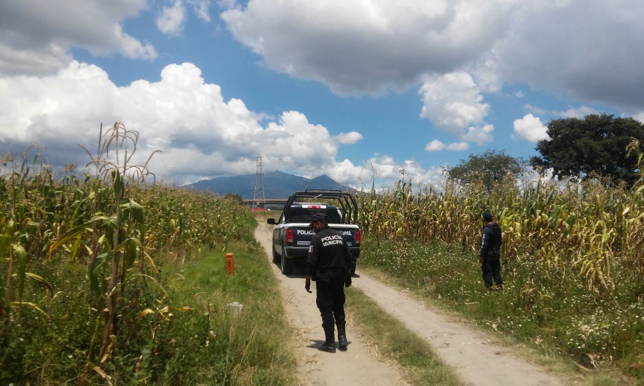 Localizan toma clandestina en ducto de gasolina en Amozoc