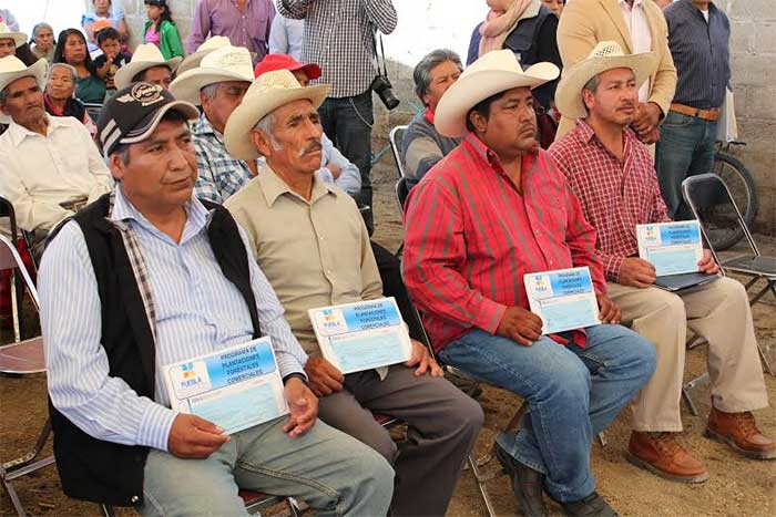 Impulsa Puebla el establecimiento de plantaciones forestales comerciales