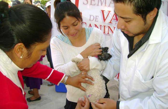 Inicia en Quecholac la Semana Nacional de Vacunación Antirrábica