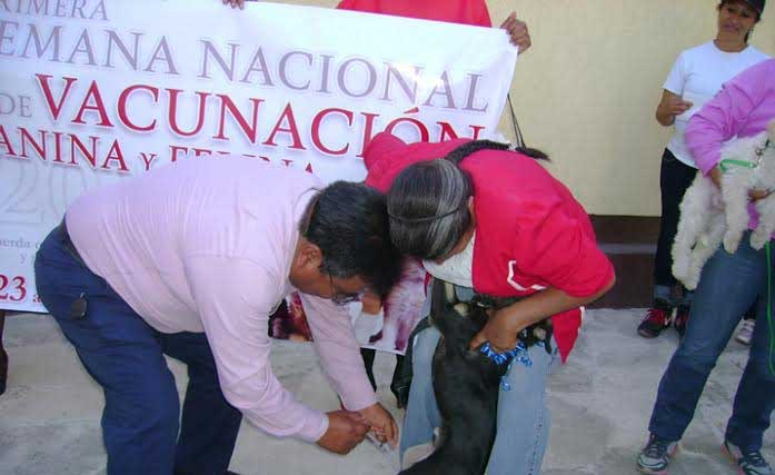 Inicia en Quecholac la Semana Nacional de Vacunación Antirrábica