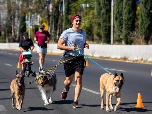 Disfrutan 545 mujeres y mil 237 hombres Vía Recreativa